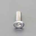 【★ポイント5倍★】7/19~7/26開催!お買い物マラソン(要エントリー) M4 x 6mm 六角穴付ボルト(超低頭/ステンレス/2本)