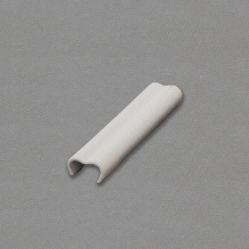 ڥݥ10ܡ۳ŷѡSAIL(12/4~12/11) ץȥ꡼ 2.0x20mm ۥ(ۥ磻ȥй/200)