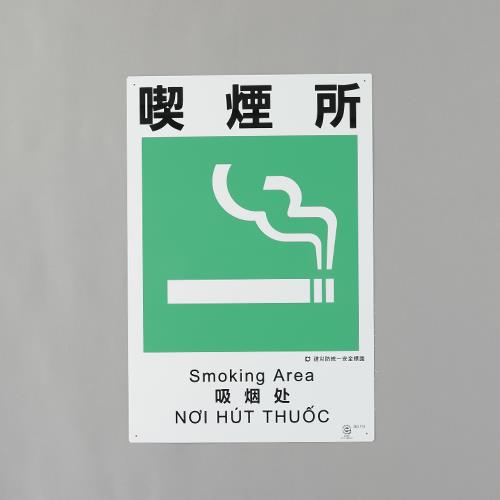 ڥݥ10ܡ11/20~11/27 ֥åե饤ǡxݥȥå(ץȥ꡼) 450x300mm ɰɸ(ʱ)