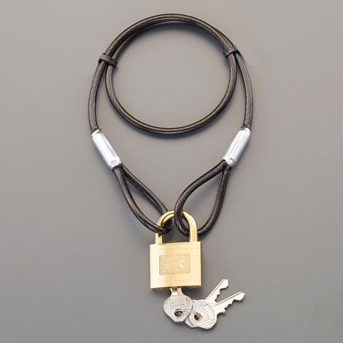 ڥݥ10ܡ۳ŷѡSAIL(12/4~12/11) ץȥ꡼ 4.3x 545mm 磻䡼å()