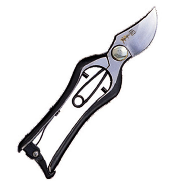 【ポイント10倍】11/20~11/27 ブラックフライデーxポイントアップ(要エントリー) GS #3641 国之長 剪定..