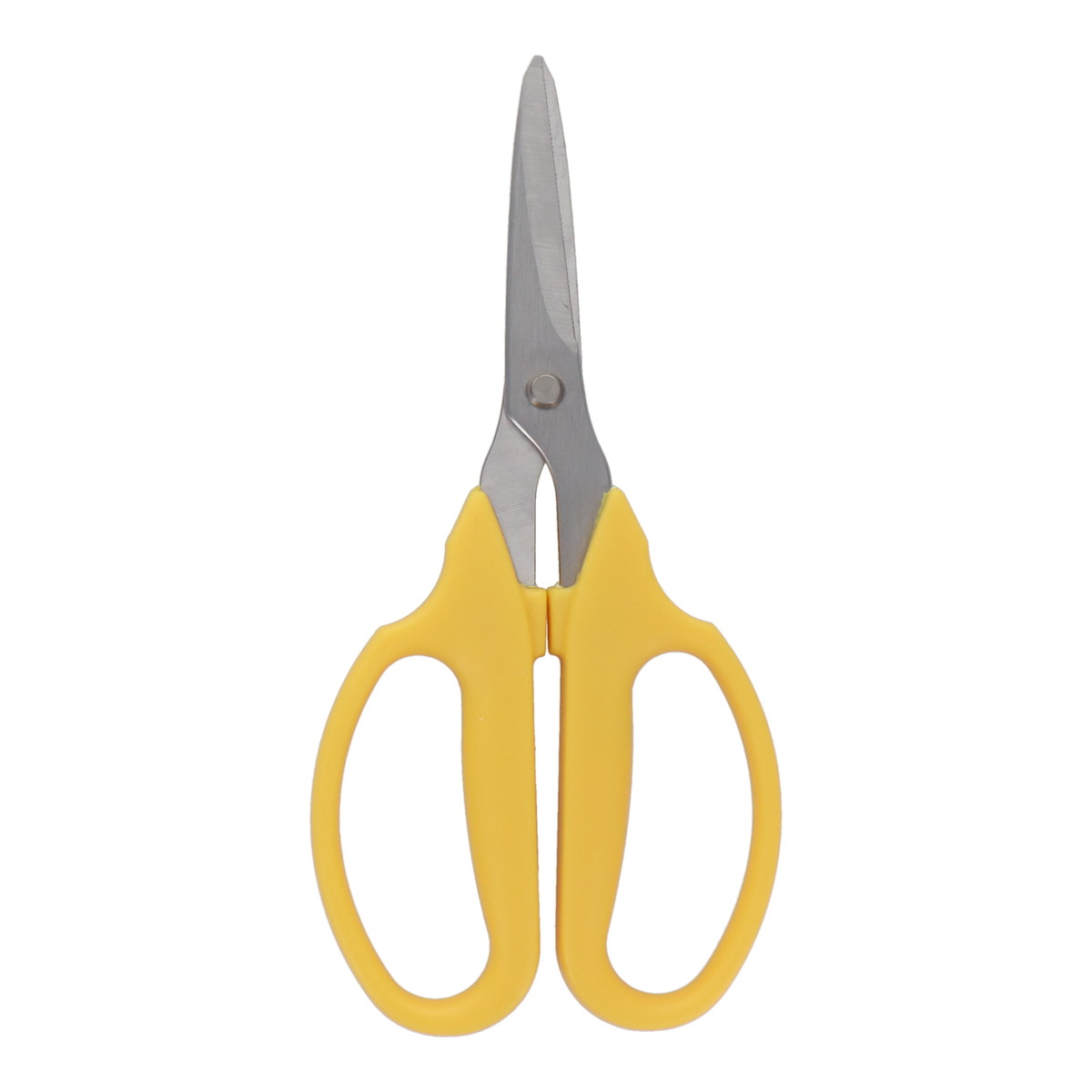 ���ݥ����10�ܡ� 1/9~1/16 ���㤤ʪ�ޥ饽��(�ץ���ȥ꡼) sita A007 ���ƥ󾮻��� ������ #331007