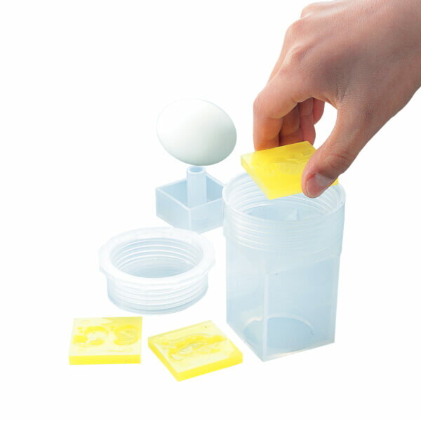 【ポイント10倍】11/20~11/27 ブラックフライデーxポイントアップ(要エントリー) タイガー #2264 PPエ..