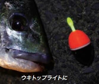 ★ポイント10倍★ 1/9~1/16 お買い物マラソン(要エントリー) ルミカ A03202 ウミホタル 50 ブルー