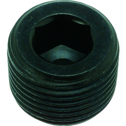 【★ポイント5倍★】2/4~2/10開催！お買い物マラソン(要エントリー)TRUSCO テ−パ−浮きプラグSP3 PT1／2 6個入 Y1083-0112