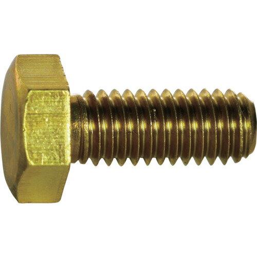 【★ポイント5倍★】6/22~6/27開催！お買い物マラソン(要エントリー) TRUSCO 六角ボルト 黄銅全ねじ M6×30 8本入 Y501-0630