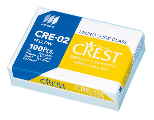 ڥݥ10ܡ12/1ϥեǡϲ˻ҹ 쥹ȥȥ饤ɥ饹 094-066-59 ص ɸѶ 饤ɥ饹