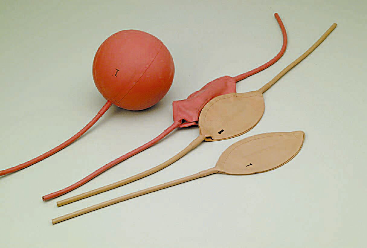 【★ポイント5倍★】11/14~11/16開催！楽天イーグルス感謝祭 × ポイントアップ(要エントリー)コクゴ ガス..