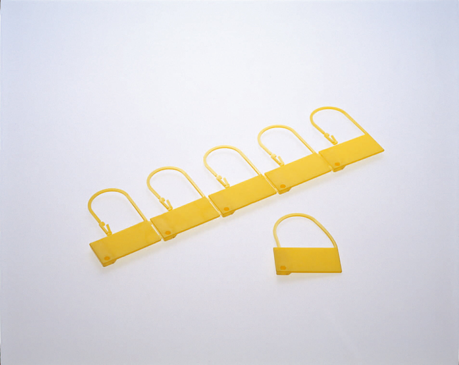 【★ポイント5倍★】11/14~11/16開催！楽天イーグルス感謝祭 × ポイントアップ(要エントリー)コクゴ 結束..