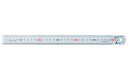 【★ポイント5倍★】6/22~6/27開催!お買い物マラソン(要エントリー) 直尺 ステン30cm 14028SS-300
