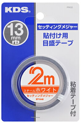 ڥݥ10ܡ12/1ϥեǡåƥ󥰥᥸㡼2ST13-02BP