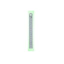【★ポイント5倍★】6/22~6/27開催!お買い物マラソン(要エントリー) シルバー直尺(150mmGC15