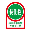 【★ポイント5倍★】6/22~6/27開催!お買い物マラソン(要エントリー) ヘルメット用ステッカー HL− 8 233008