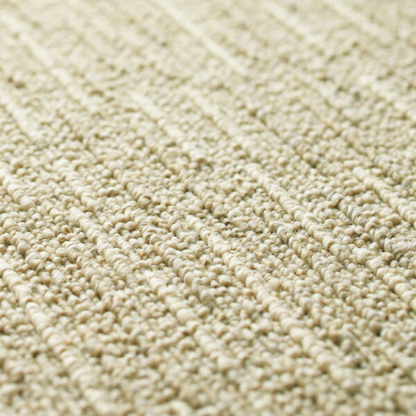 �ڥݥ����10�ܡ�3/1�ϥ����ե�ǡ������(��) ��������2100 �������롼�� 10���� ���åȥ� FF2101 ���� ����ƥꥢ �ȶ� ������ �����ڥå� ���� �ե��� ���