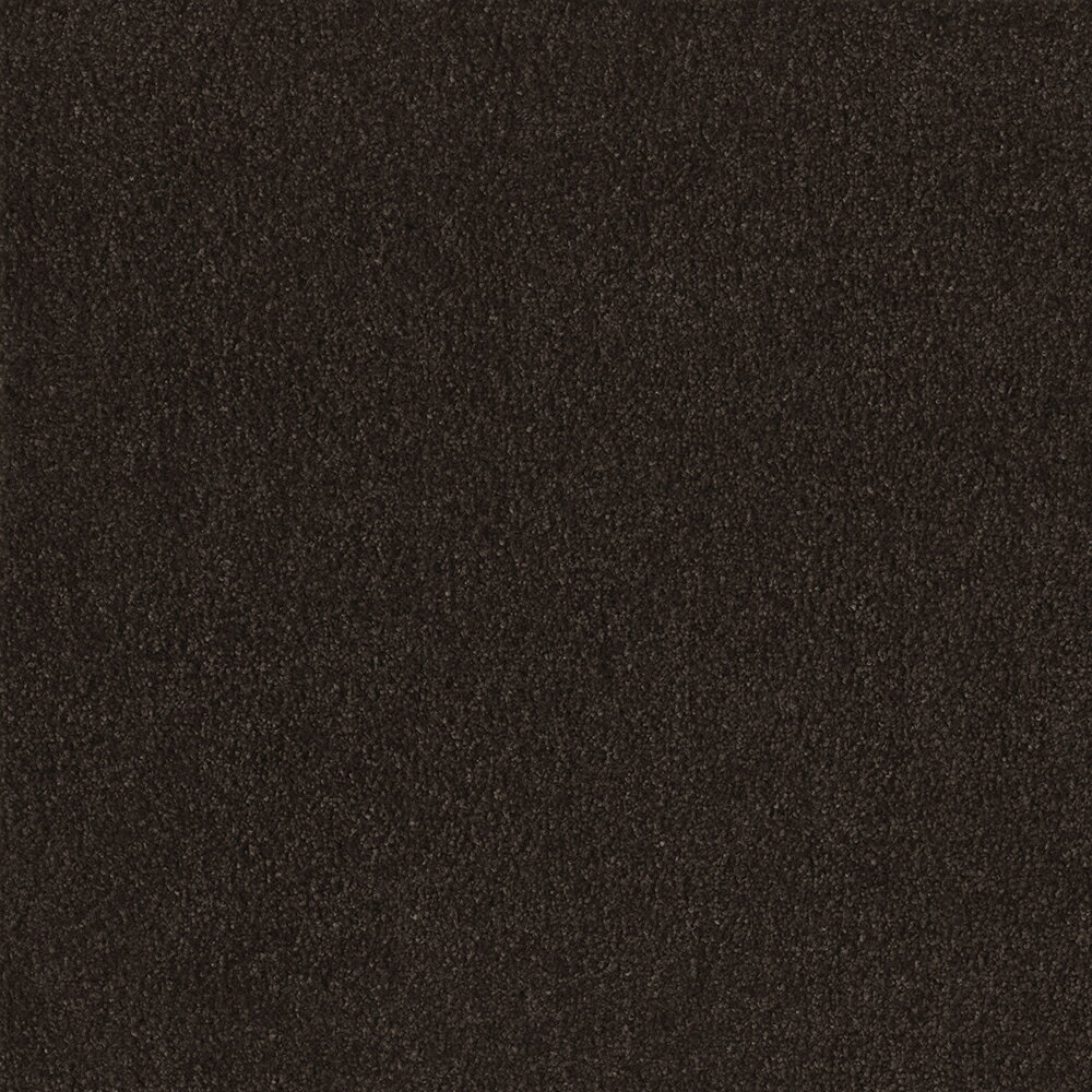 �ڥݥ����10�ܡ�3/1�ϥ����ե�ǡ������(��) ��������2400 ����� 10���� ���ԥ� FF2404 ���� ����ƥꥢ �ȶ� ������ �����ڥå� ���� �ե��� ���