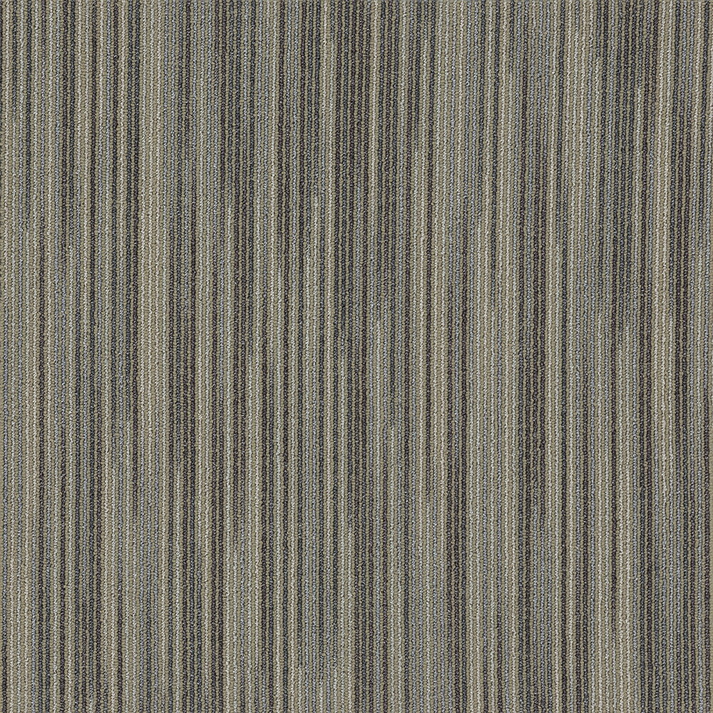 �ڥݥ����10�ܡ�3/1�ϥ����ե�ǡ������(��) ��������4200 ���������� 10���� ����� FF4203 ���� ����ƥꥢ �ȶ� ������ �����ڥå� ���� �ե��� ���