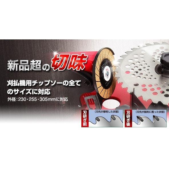 HALLOC 楽天市場店の★ポイント10倍★ 8/4~8/11 お買い物マラソン(要エントリー) ニシガキ工業 刃研ぎ名人チップソー N-822 農業 園芸 剪定 バリカン チェンソー チップソー｜アングル2