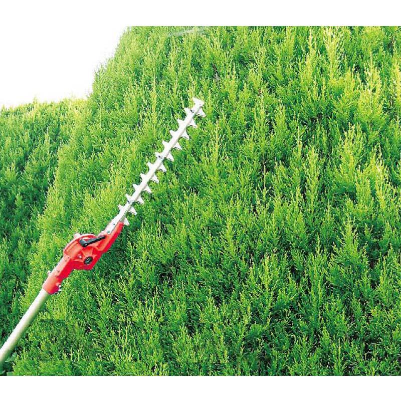 ���ݥ����10�ܡ� ��ŷ�����ѡ�SAIL(3/20~3/26) ���ץ���ȥ꡼ �˥��������� ����Ϻ500 N-834 ���� ��� ���� �Хꥫ�� �����󥽡� ���åץ���