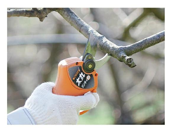 �ڡ��ݥ����10�ܡ���2/4~2/10���š����㤤ʪ�ޥ饽��(�ץ���ȥ꡼) �˥��������� ���ݥϥ�ǥ���25�ʥХåƥ꡼�����Ŵ��դ���N-928 ���� ��� ���� �Хꥫ�� �����󥽡� ���åץ���