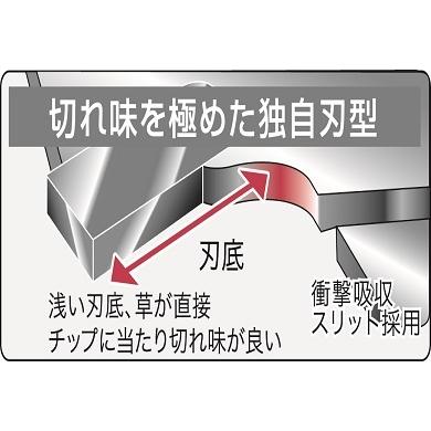 ���ݥ����10�ܡ� ��ŷ�����ѡ�SAIL(3/20~3/26) ���ץ���ȥ꡼ ���۶�° ��ζ230��36P��5�祻�åȡ� 0023 ���� ��� ���åץ��� �� �Ǵ�