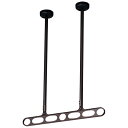 【ポイント10倍(5/1限定)】川口技研 ホスクリーン Z-215-DB ダークブロンズ (1セット:2本入り) Z-215-DB 建材 建設 生活雑貨 資材 ...