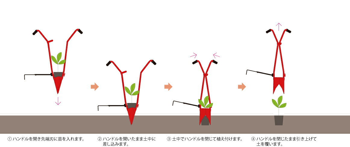 �ڥݥ����10�ܡ�3/1�ϥ����ե�ǡ������󥨡� �ۡ��顼(���ļ�) H70P ���� ��� ���ȵ��� ���� �����ڱ� ���� ���