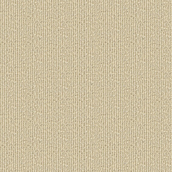 【ポイント10倍】11/20~11/27 ブラックフライデーxポイントアップ(要エントリー) シンコール パルコ ソ..