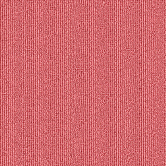 【ポイント10倍】11/20~11/27 ブラックフライデーxポイントアップ(要エントリー) シンコール パルコ ソ..