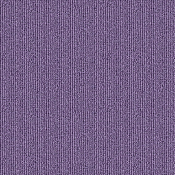 【ポイント10倍】11/20~11/27 ブラックフライデーxポイントアップ(要エントリー) シンコール パルコ ソ..