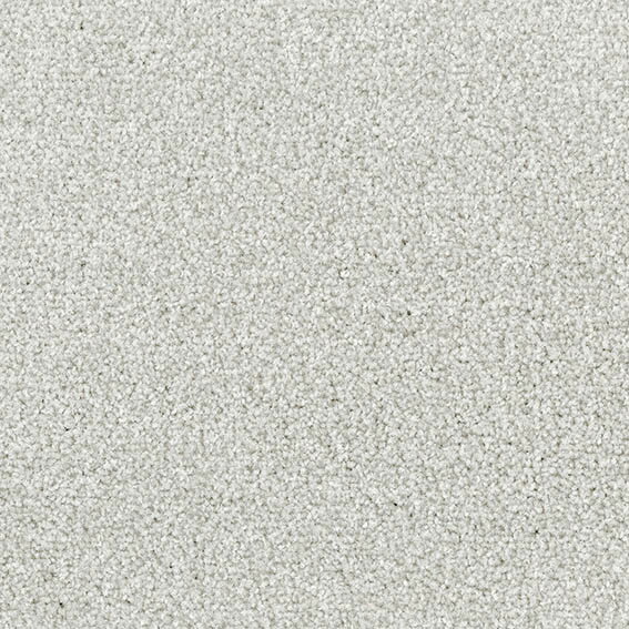 �ڥݥ����10�ܡ�12/19��12/26 �紶�պ�!! ���ץ���ȥ꡼ ���󥳡��� �ե��300 FRN7956 50cm��50cm ��16������ ������ ��...