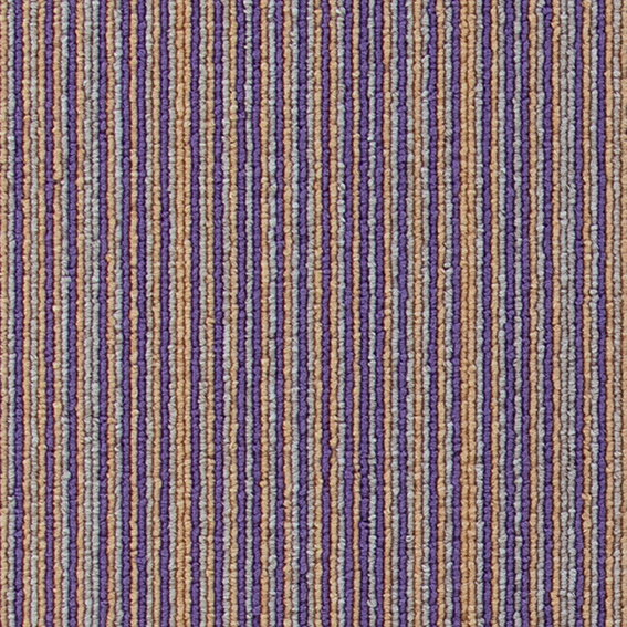 【ポイント10倍】11/20~11/27 ブラックフライデーxポイントアップ(要エントリー) シンコール パルコソ..