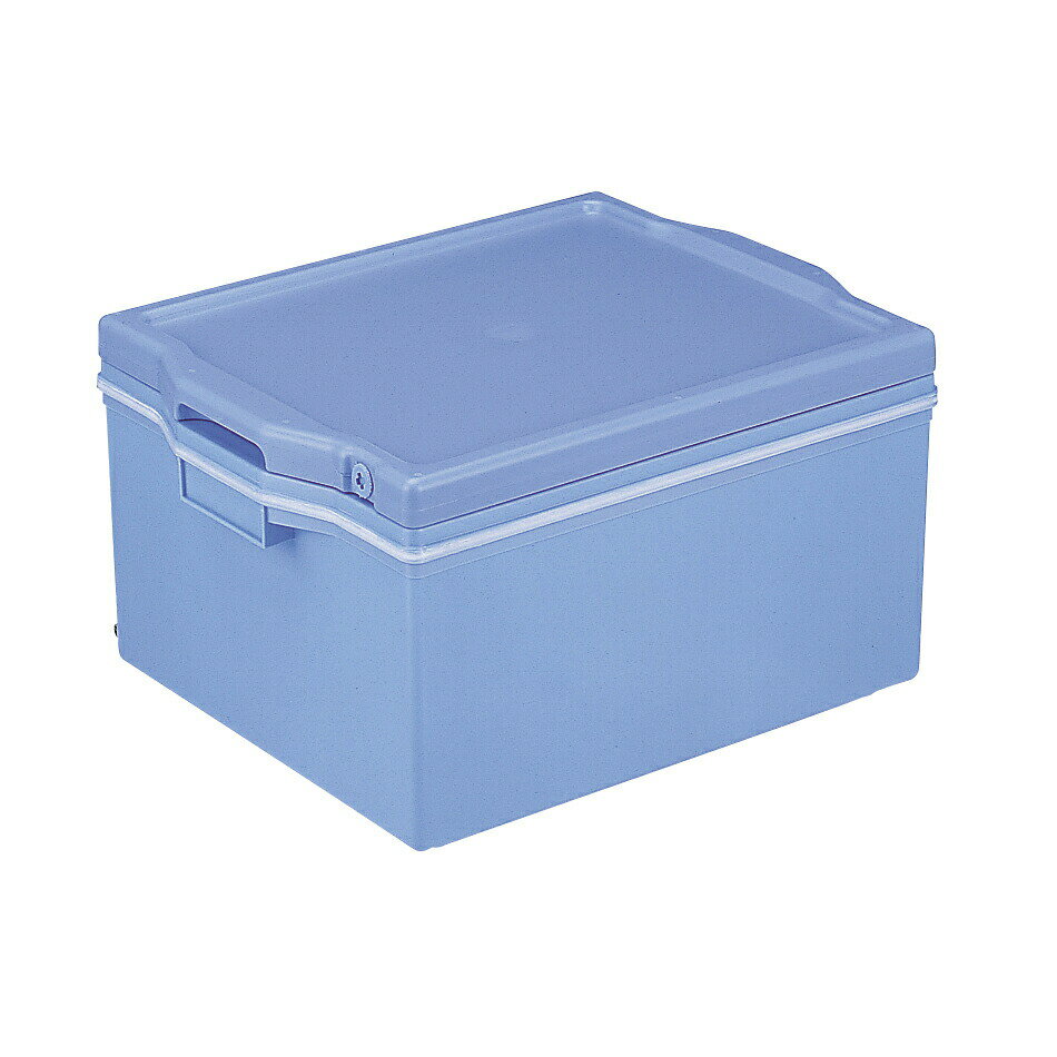 【当店限定】11/5〜11/11までポイント5倍！！セキスイ エスレンコンテナSP-20-D（深型）