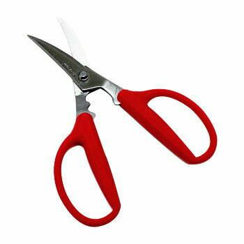 【★ポイント5倍★】11/14~11/16開催！楽天イーグルス感謝祭 × ポイントアップ(要エントリー)カニチョキ ..