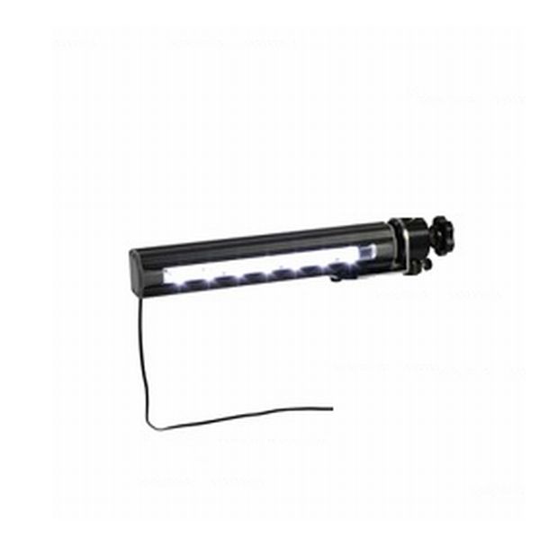 ڥݥ10ܡ12/1ϥեǡС饤(ɸ࿧