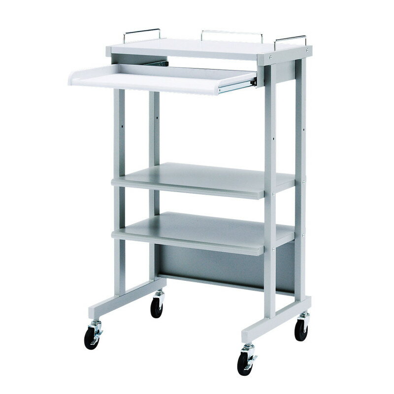 【ポイント10倍】12/19〜12/26 大感謝祭!! ※要エントリー サンワサプライ ハイスタンド 入数：1