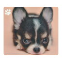 【★ポイント5倍★】5/9~5/16開催!お買い物マラソン(要エントリー) サンワサプライ 動物マウスパッド チワワ 入数:1