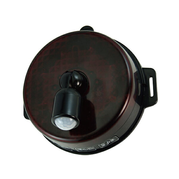 【★ポイント5倍★】11/14~11/16開催！楽天イーグルス感謝祭 × ポイントアップ(要エントリー)ジェフコム ..