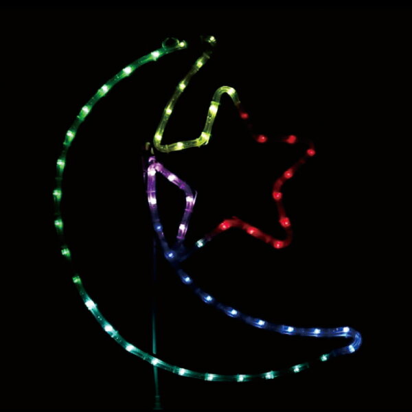 ڡݥ5ܡ6/22~6/27š㤤ʪޥ饽(ץȥ꡼) ե LEDSDXʥޥѥ󥿥ס SD...
