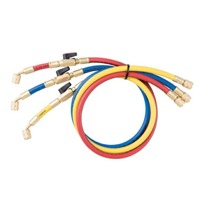 ���ݥ����10�ܡ� ��ŷ�����ѡ�SAIL(3/4~3/11) ���ץ���ȥ꡼ A-GAS JAPAN ���㡼���ۡ��� FS-721AB