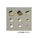 【★ポイント5倍★】5/9~5/16開催!お買い物マラソン(要エントリー) 新光電子 (ViBRA)板状分銅 ステンレス OIML型 (F1級)【1mg】 UN...