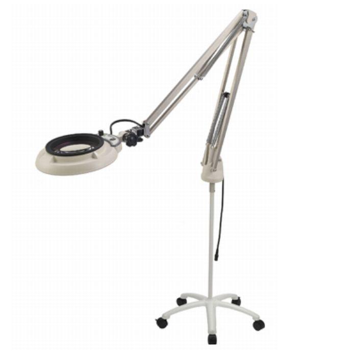 ڥݥ10ܡ12/1ϥեǡĥ ե륹ڥȥLED ե꡼༰㥹ɼ 10ܡAR 1