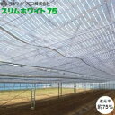 【ポイント10倍(5/1限定)】日本ワイドクロス スリムホワイト75 2X100