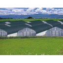 【ポイント10倍(5/1限定)】日本ワイドクロス ワイドスクリーン 黒 6X50