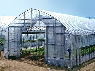 型番103211000495 商品説明防曇効果が持続するため、作物が良く育ちます。 使いやすく環境にやさしい園芸ハウスに最適な汎用農POフィルム。高透明・柔軟性に優れています。 仕様厚み（mm）×幅（cm）×長さ（m）＝0.13×670×50