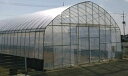 【ポイント10倍(5/1限定)】住化積水フィルム 伸野果 103210002829 50m