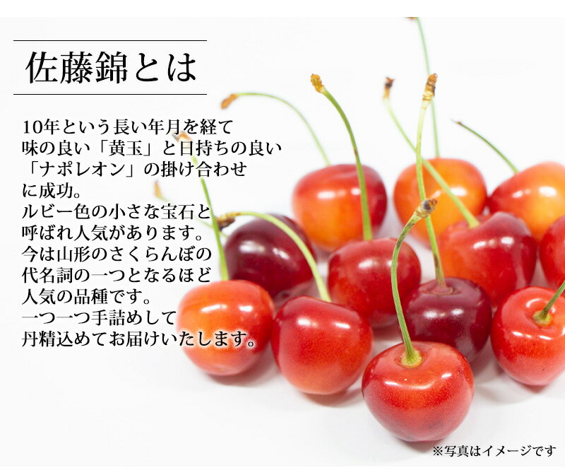 【クーポン利用で10%OFF】山形県 佐藤錦と紅王セット （佐藤錦300g+紅王300g）送料...