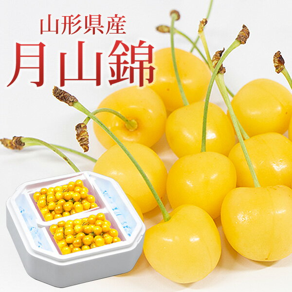 山形県 月山錦パック　600g（300g×2パック）秀品 L以上　バラ詰め / 【送料無料】【ネット限定販売】さくらんぼ 秀品 Lサイズ サクランボ チェリー【6月10日以降順次発送】