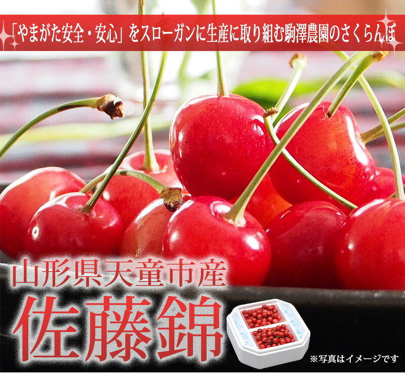 サンプル画像2