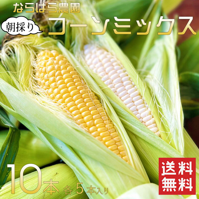 福岡県産 ならはら農園 朝採りコーンミックス 10本入り（ホワイト5本/イエロー5本 約3kg）/ 【送料無料】とうもろこし　福岡県産 朝採れ ホワイトコーン 黄色のとうもろこし【6月5日以降順次発送】