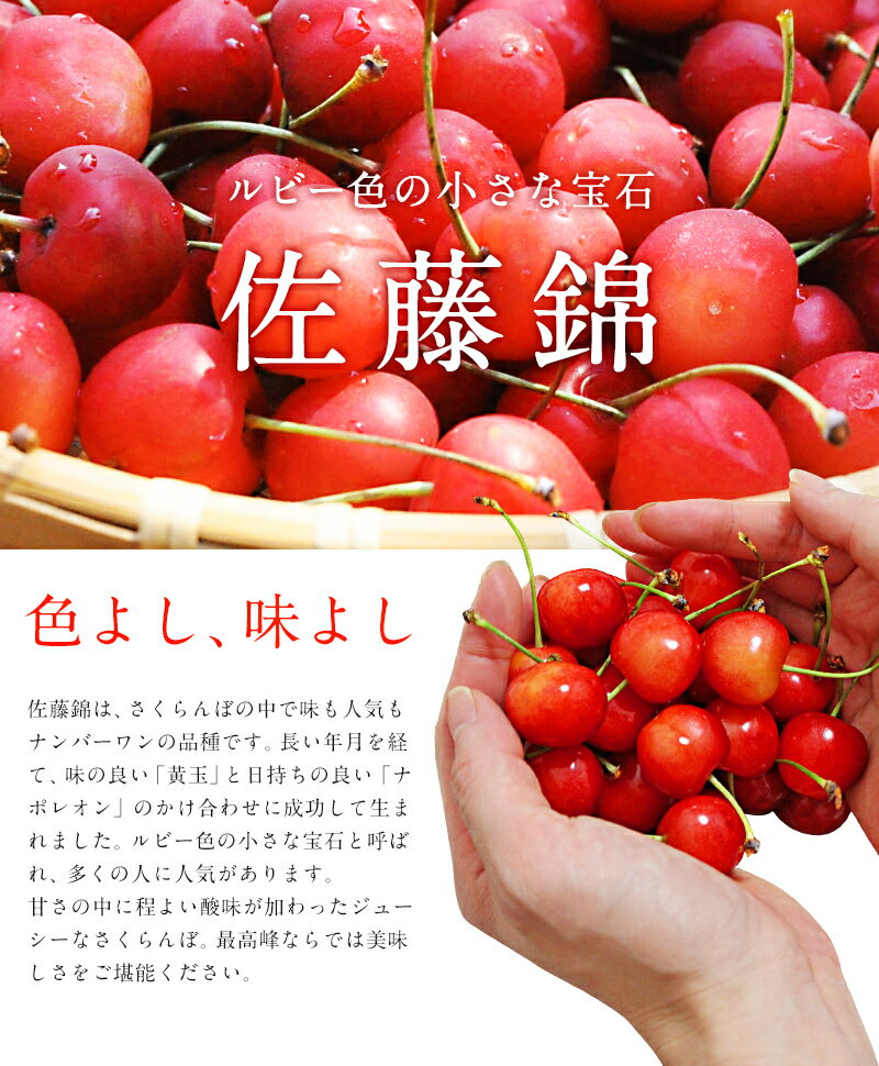 【クーポン利用で10%OFF】山形県山辺町産 佐藤錦 約500g さくらんぼ 秀品 2Lサイズ...